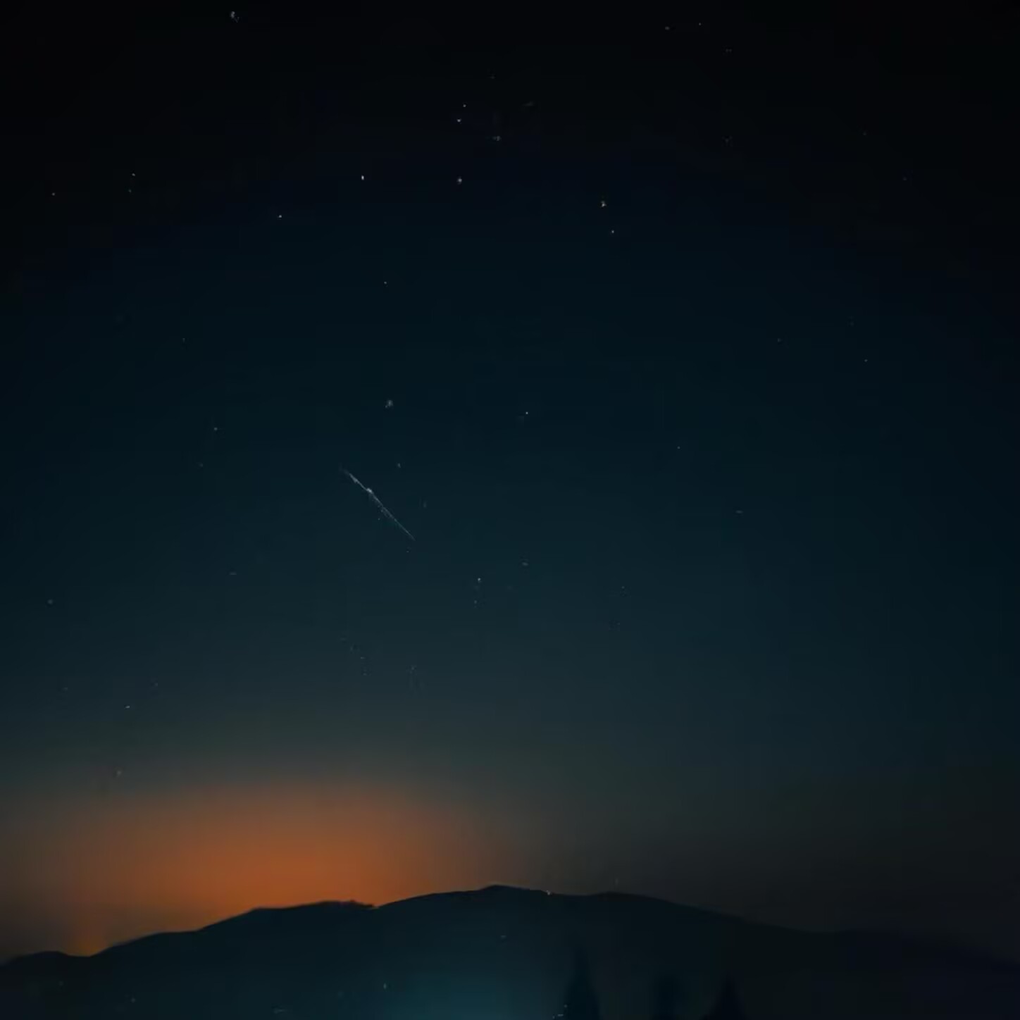LeapHeap Profile Picture